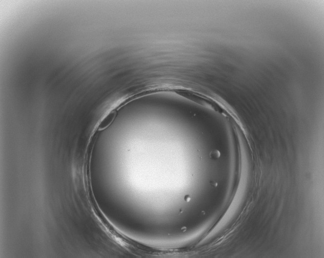 X0000054421293200508051756