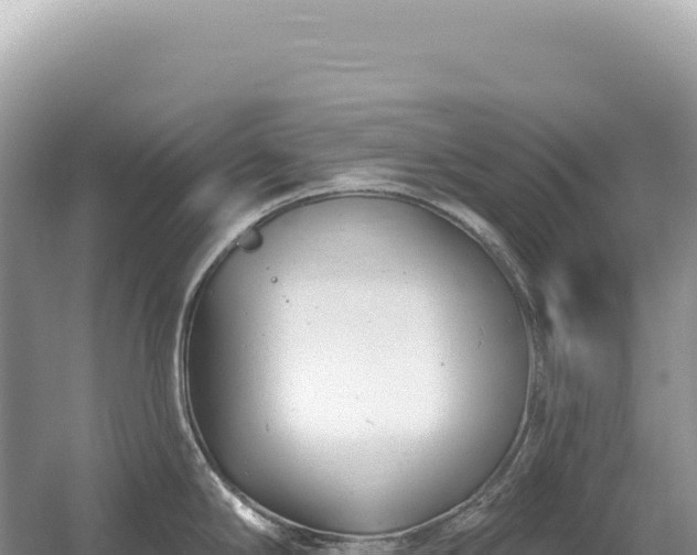 X0000054421294200508051756