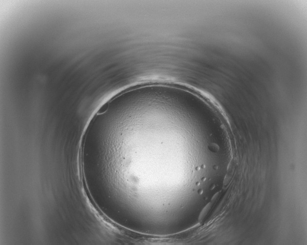 X0000054421295200508051756