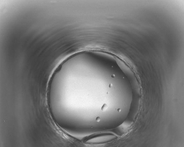 X0000054421296200508051756