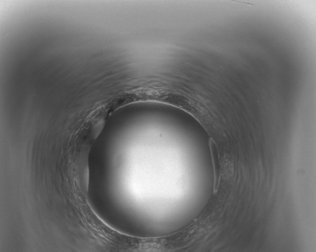 X0000054421297200508051755