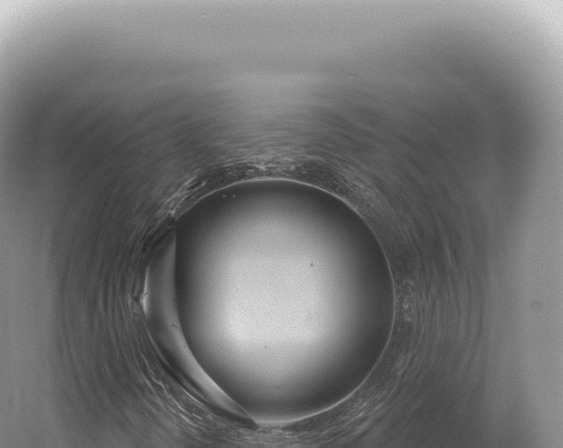 X0000054421298200508051755