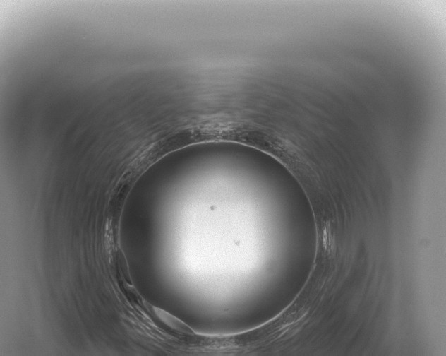 X0000054421299200508051755