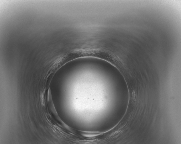 X0000054421300200508051755