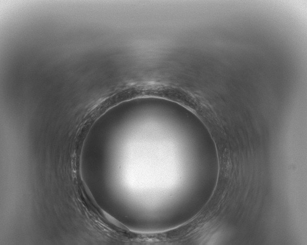 X0000054421301200508051755