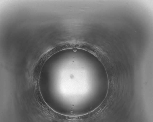 X0000054421302200508051755