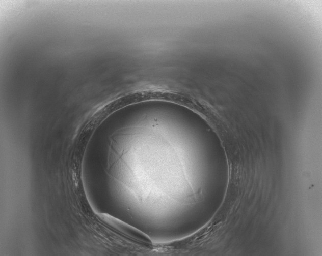 X0000054421303200508051755