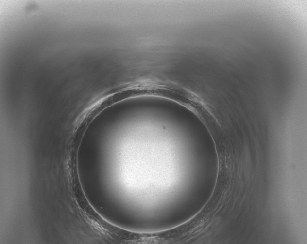 X0000054421304200508051755