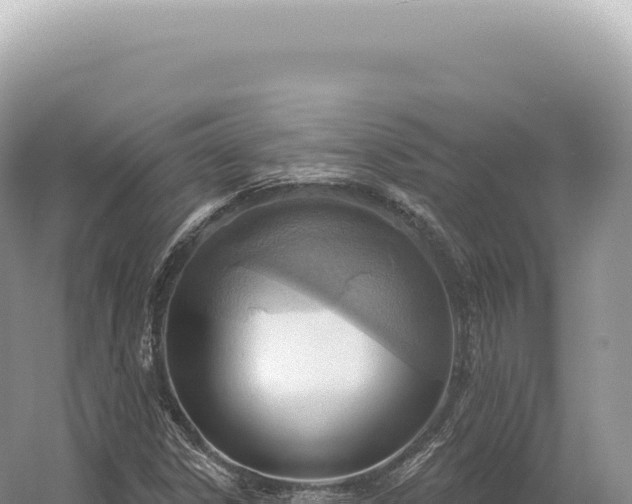 X0000054421306200508051755