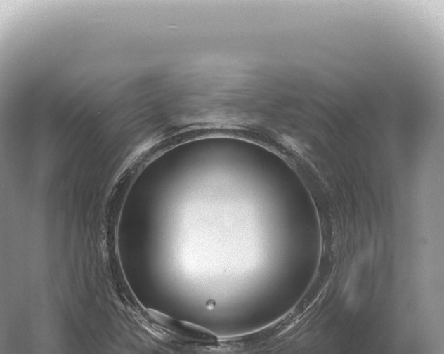 X0000054421307200508051755