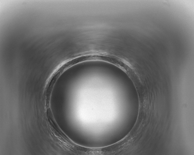 X0000054421310200508051755