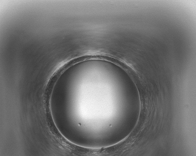 X0000054421311200508051755