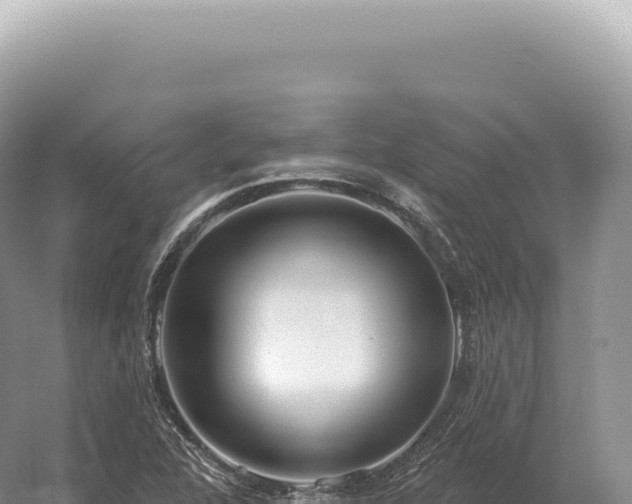 X0000054421312200508051755