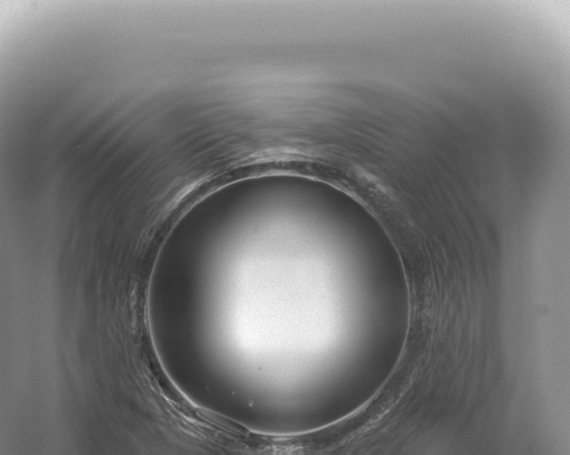 X0000054421313200508051755