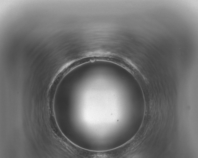 X0000054421315200508051755