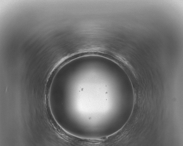 X0000054421316200508051755