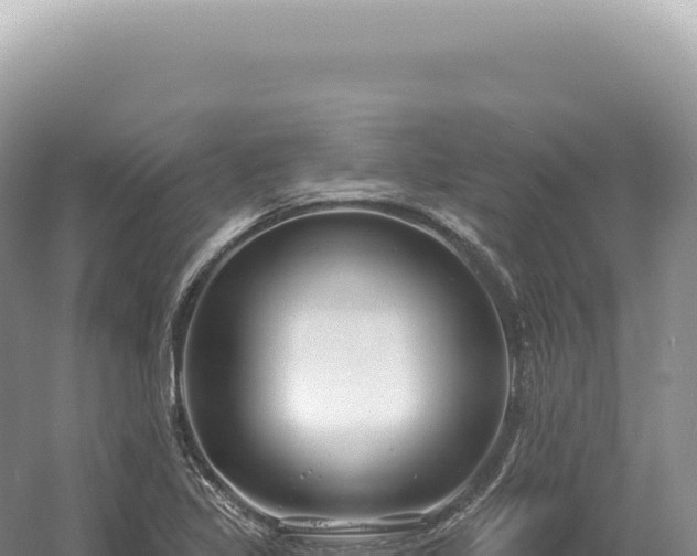 X0000054421317200508051755