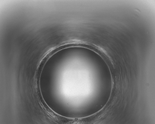 X0000054421318200508051755