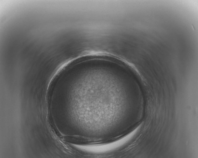 X0000054421319200508051755