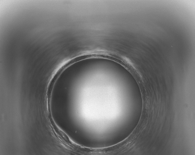 X0000054421320200508051755