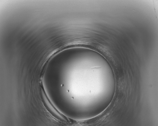 X0000054421321200508051755