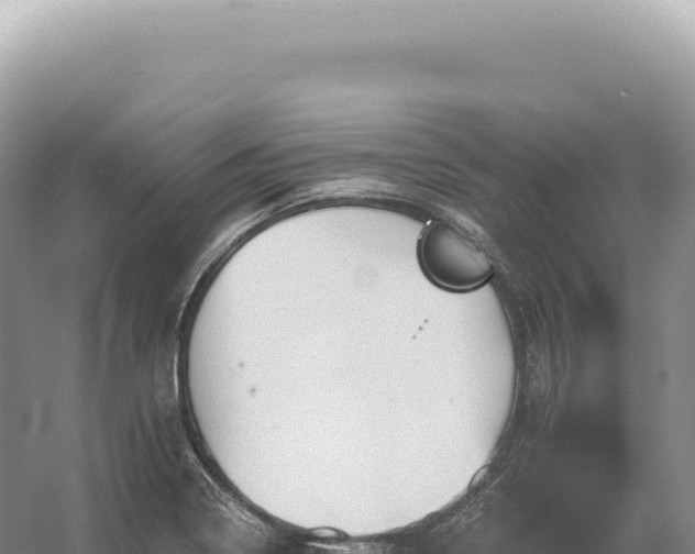 X0000054421322200508051755