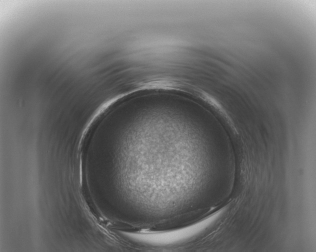 X0000054421323200508051755