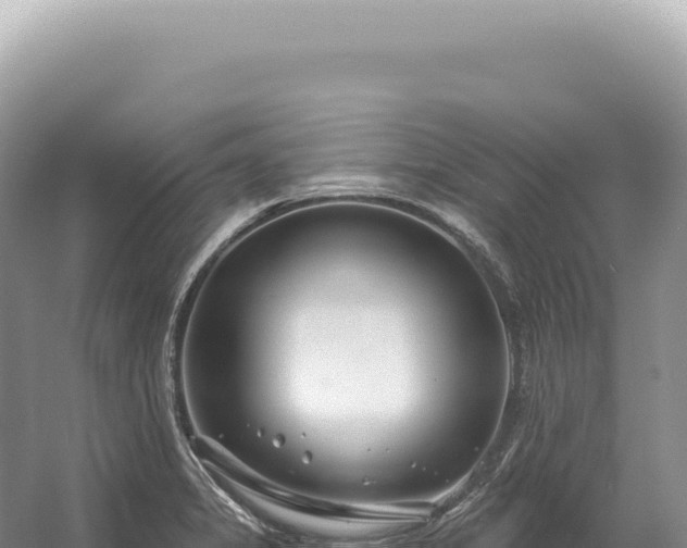 X0000054421325200508051755