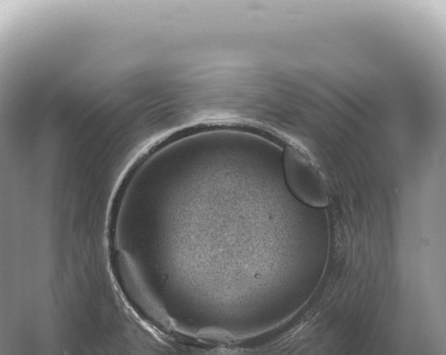 X0000054421327200508051756