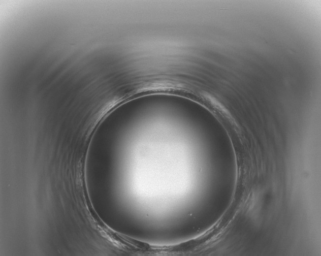 X0000054421329200508051756