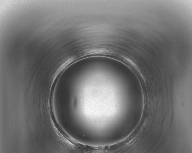 X0000054421330200508051756