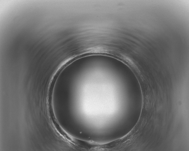 X0000054421331200508051756