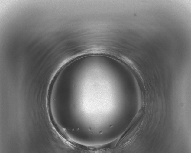 X0000054421334200508051756