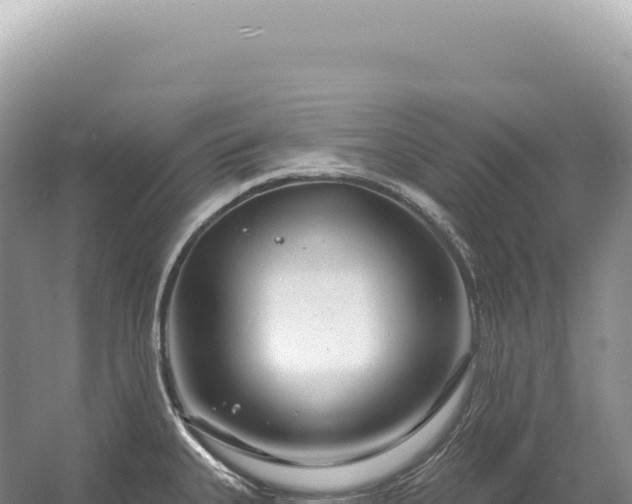 X0000054421335200508051756