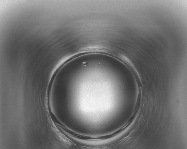 X0000054421336200508051756