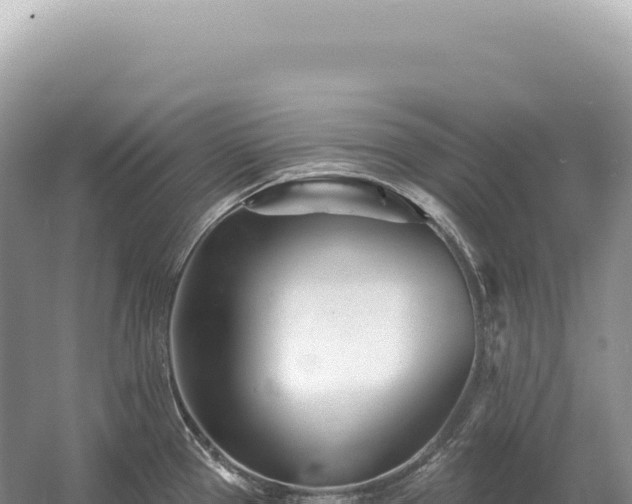 X0000054421337200508051756