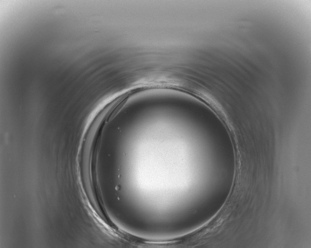 X0000054421344200508051756