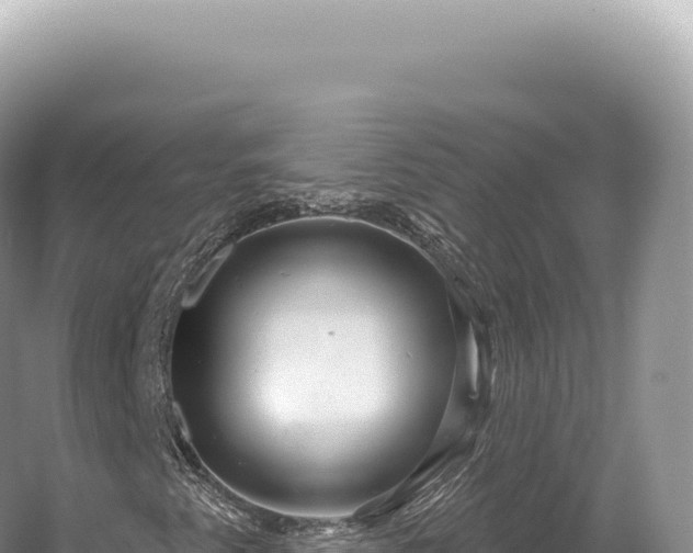 X0000054421345200508051755