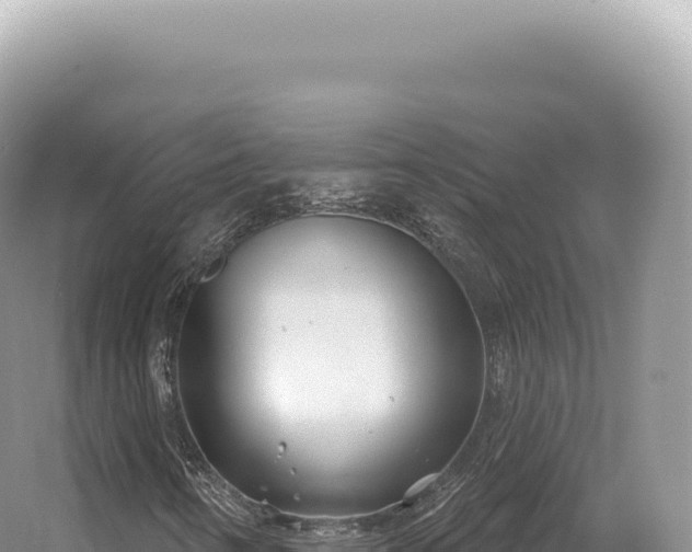 X0000054421346200508051755