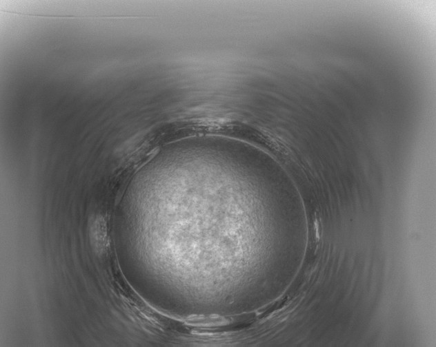 X0000054421347200508051755