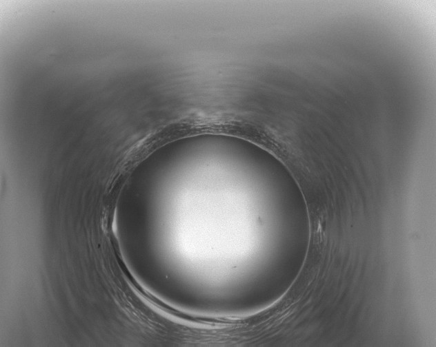 X0000054421348200508051755