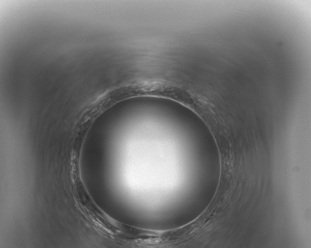 X0000054421349200508051755