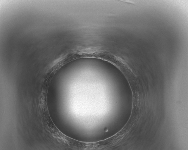 X0000054421350200508051755