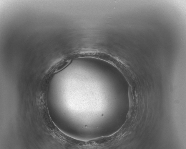 X0000054421351200508051755