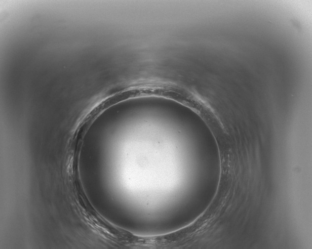 X0000054421352200508051755