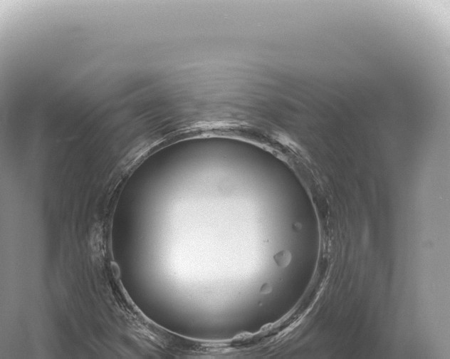 X0000054421353200508051755