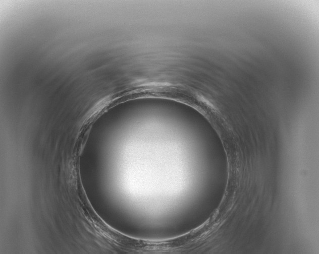 X0000054421354200508051755