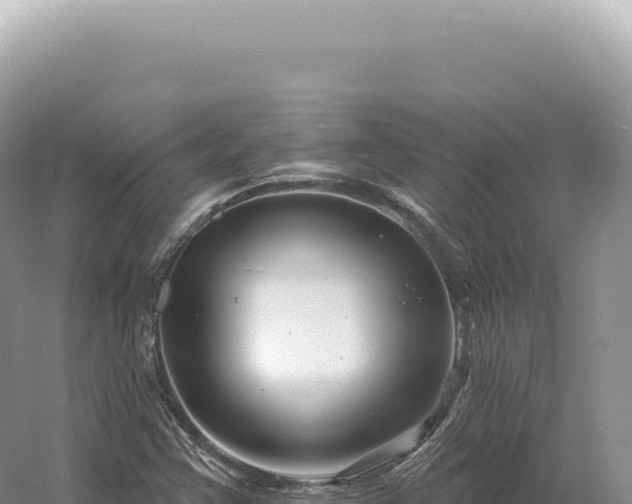 X0000054421355200508051755