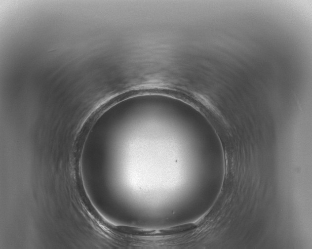 X0000054421356200508051755