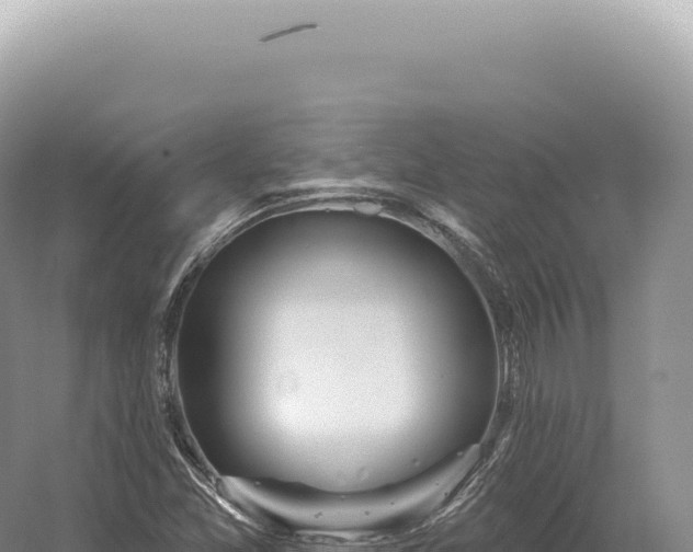 X0000054421357200508051755